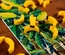 Tasso Banana
