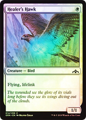 Healer's Hawk