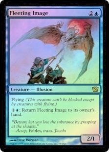 Fleeting Image