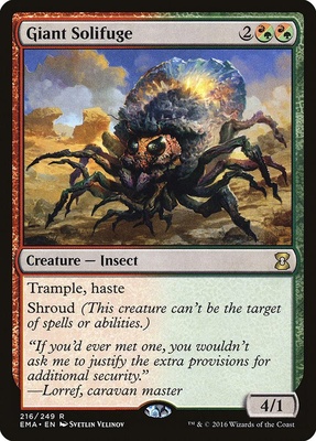Giant Solifuge