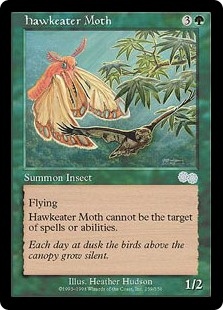 Hawkeater Moth