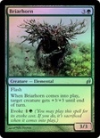 Briarhorn