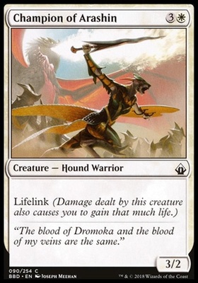 Champion of Arashin