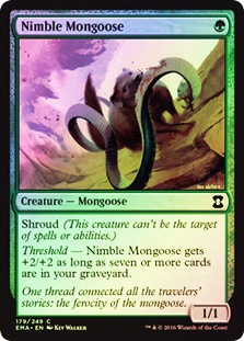 Nimble Mongoose