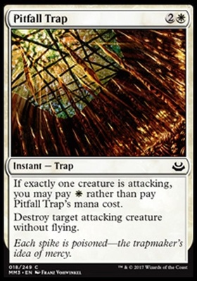 Pitfall Trap
