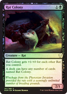 Rat Colony