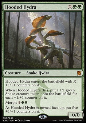 Hooded Hydra