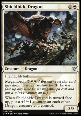 Shieldhide Dragon