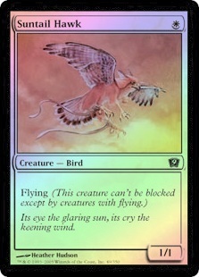 Suntail Hawk