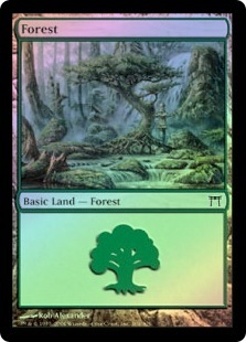 Forest (#304)