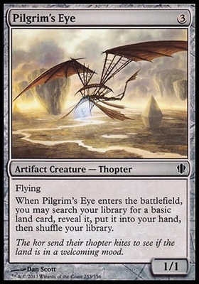 Pilgrim's Eye
