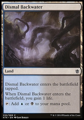 Dismal Backwater