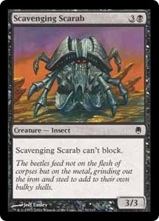 Scavenging Scarab
