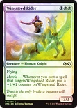 Wingsteed Rider
