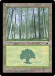 Forest (B)