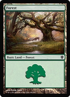 Forest (#356)