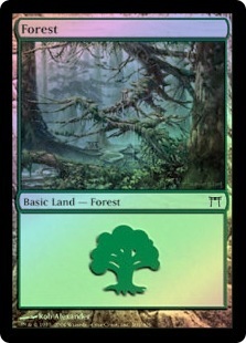 Forest (#306)