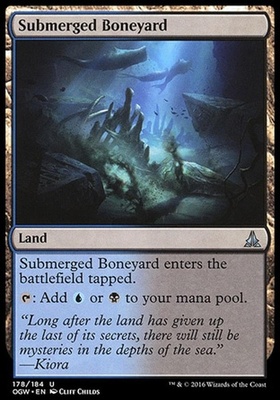 Submerged Boneyard