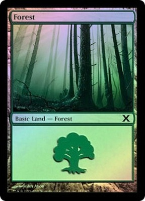 Forest (#381)